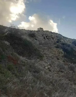hill 