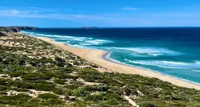 moderate waves