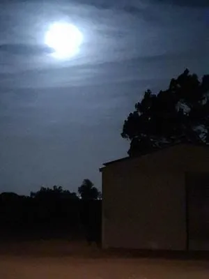 moonlight 