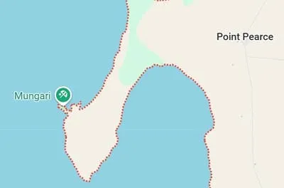 mungari 