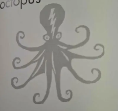 octopus 