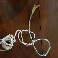 string.jpg 